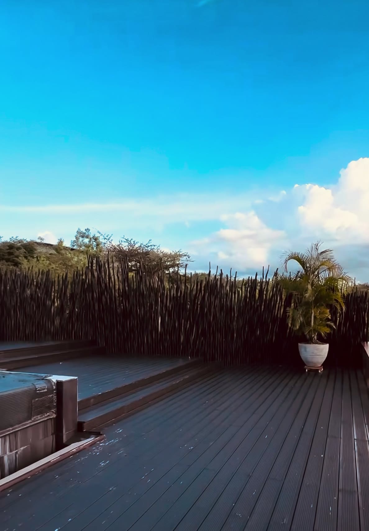 The Bali House — photograph 4